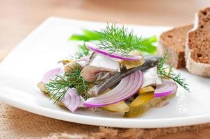 herring salad with pickled cucumbers and onions photo