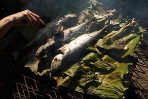 Cooking grilled fish on the oven photo