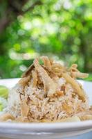 fried rice , crackling, Thai style food photo