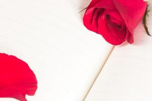 Red rose on notebook background photo