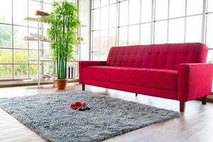 Minimal style modern living room space for work from home decorated with big glass window sofa tree and book shelf photo