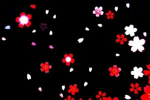 Black background with flower petals photo