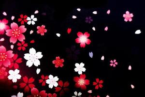 Black background with flower petals photo