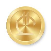 Gold Lari coin Concept of internet web currency vector