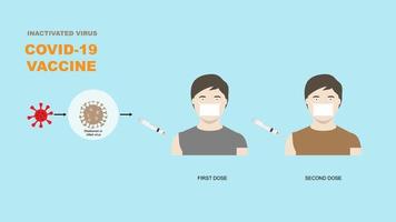 Covid-19 vaccine injection vector