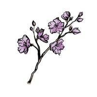 branch of blooming sakura flowers doodle, vector