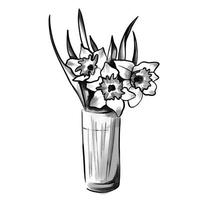 Vase of flowers. Narcissus daffodil flowerpot. Isolated spring bouquet outline. Black and white vector illustration.