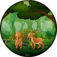 Forest scene with mother deer and cub in circular frame vector