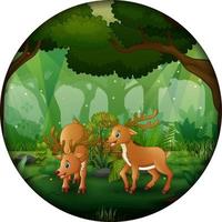 Forest scene with mother deer and cub in circular frame vector