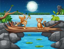 Funny monkeys on a log bridge at night landscape vector