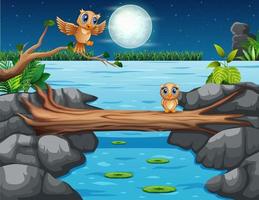 Cute owls cartoon on a log bridge at night landscape vector