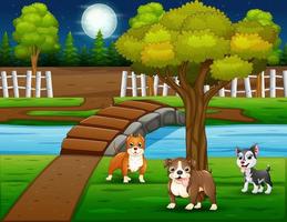 Cartoon three dogs in the nature at night vector