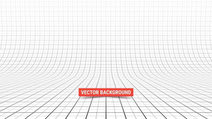 Studio backdrop with mesh. Curved perspective grid with major and minor lines.