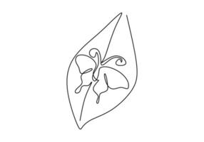 One continuous single line of butterfly on leaf on white background. vector