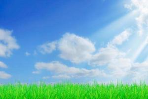 Grass field and sky with bright clouds for the background in the project. photo