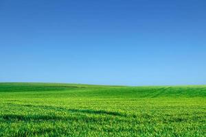 un gran prado en el fondo es el cielo. concepto de imagen de fondo de la naturaleza foto