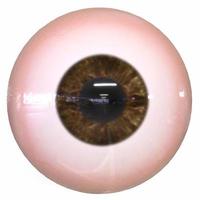 Brown Human eyeball 3d rendering object photo