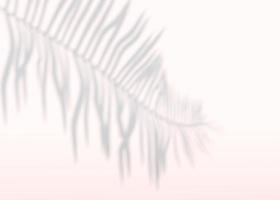 Abstract background of shadows palm leaves on a wall. 3d rendering. photo