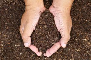 el suelo fértil se usa para cultivar plantas en manos humanas. foto