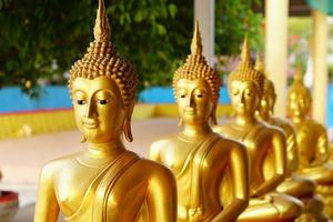 golden buddha Many of them are arranged in a row. photo
