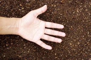 manos humanas un fondo de suelo fértil utilizado para el cultivo de plantas. foto