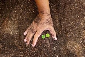 closeup hand of person holding abundance soil with young plant in hand for agriculture or planting peach nature concept. photo