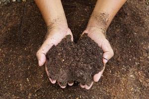 los agricultores mezclan el suelo para cultivar. proporcionar los minerales que las plantas necesitan está creciendo rápido y fuerte. foto