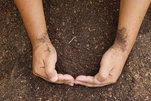 Farmers mix the soil to grow crops. provide the minerals that plants need It is growing fast and strong. photo