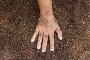 los agricultores mezclan el suelo para cultivar. proporcionar los minerales que las plantas necesitan está creciendo rápido y fuerte. foto