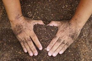 los agricultores mezclan el suelo para cultivar. proporcionar los minerales que las plantas necesitan está creciendo rápido y fuerte. foto