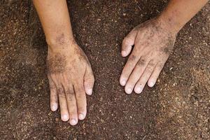 los agricultores mezclan el suelo para cultivar. proporcionar los minerales que las plantas necesitan está creciendo rápido y fuerte. foto