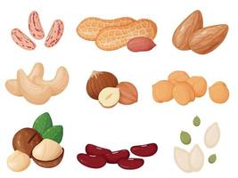 nueces y semillas en estilo de dibujos animados. anacardo, avellana, almendra, maní, pistachos, macadamia, semillas de calabaza. vector