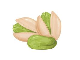 Pistachios. Nuts in shell and peeled in cartoon style. vector