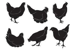 hand drawn silhouette of hen vector