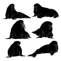 hand drawn silhouette of walrus vector