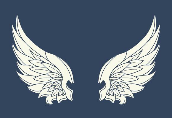 Vector illustration of white design wings