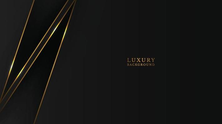 abstract black luxury gold  line background. vector illustration