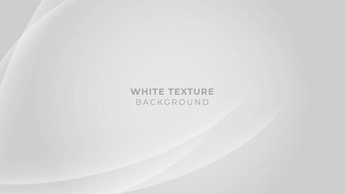 white elegant business background vector wave lines wavy. vector illustration