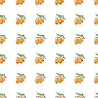 Sea buckthorn seamless pattern, vector illustration.