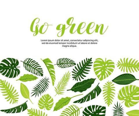 Web banner, flyer with tropical monstera leaves, fern, palm, banana.  Vector botanical illustration, Go green design, save the planet concept