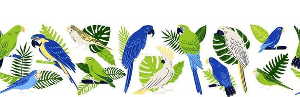 Seamless border frame with tropical parrots. Collection of birds. Macaw, Cockatoo, Budgerigar, etc. Vector exotic leaves, monstera and fern. Vector illustration