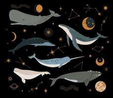 Vector set with cosmic whale, planets, stars and constellation. Different types of whale