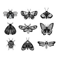 Set of black and white modern magical butterflies and moths vector