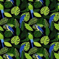 Vector seamless pattern with tropical monstera leaves, palm, fern and parrots. Blue and gold macaw and hyacinth macaw. Summer illustration