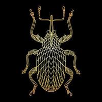 A golden beetle in a linear style. Linear vector illustration