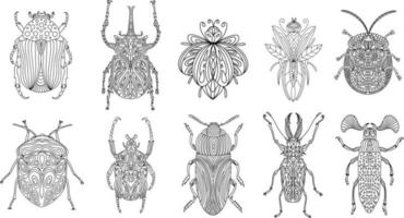 Set of beetles and insects in a linear style. Linear vector illustration