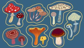 conjunto de hongos comestibles y venenosos de dibujos animados vector