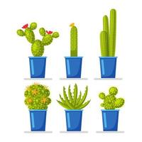 Set of cactuses potted plants with flowers. Mexican houseplant for hobbies vector