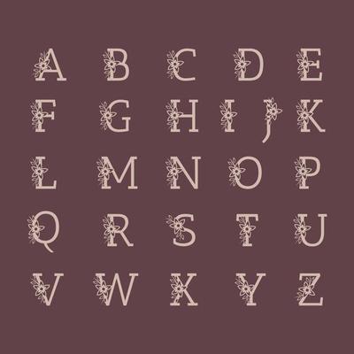 Decorative luxury wedding logo alphabet set vector