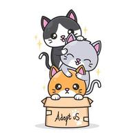 cute cats with different color inside the box vector